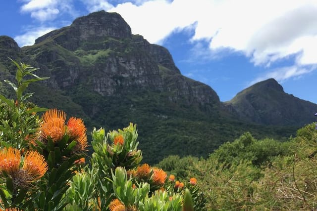 Kirstenbosch Botanical Garden